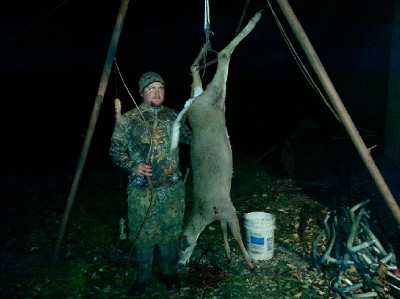 Deer